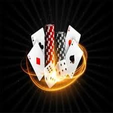 z bus casino
