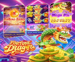 z bus casino